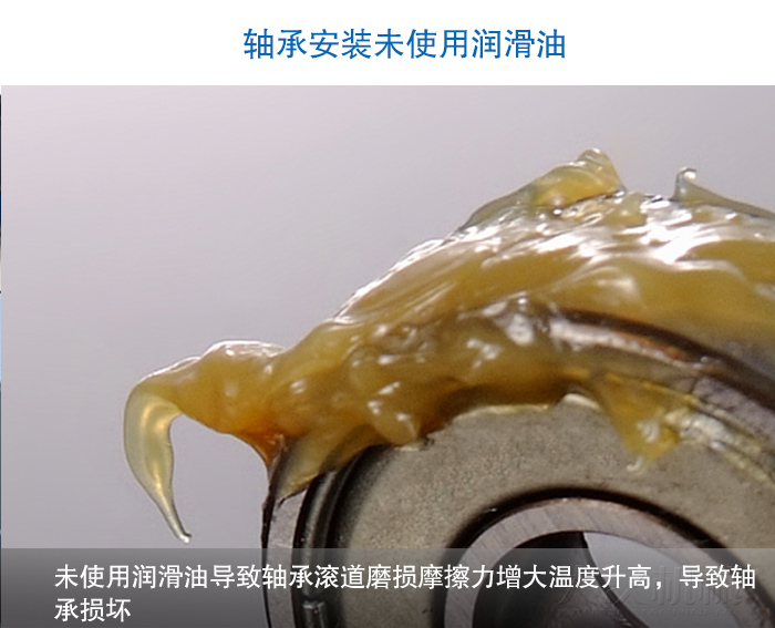 圆葫芦娃视频下载